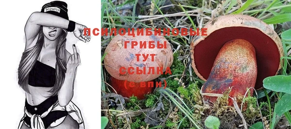 герыч Алексеевка
