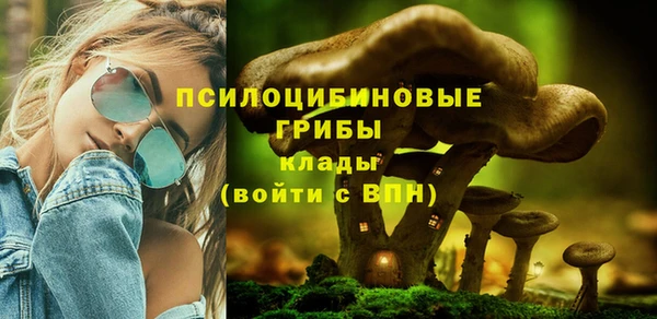 apvp Алексин