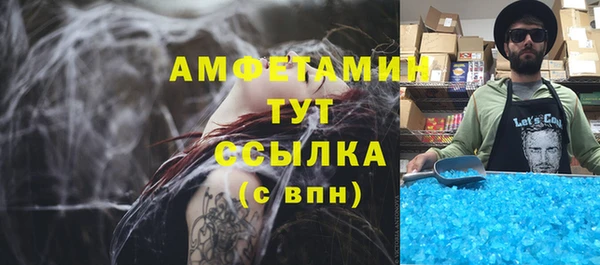 винт Алзамай