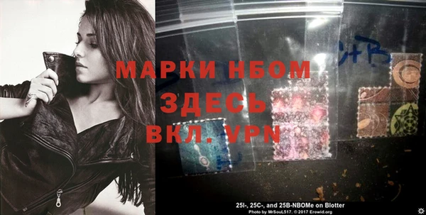 винт Алзамай