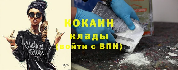 винт Алзамай