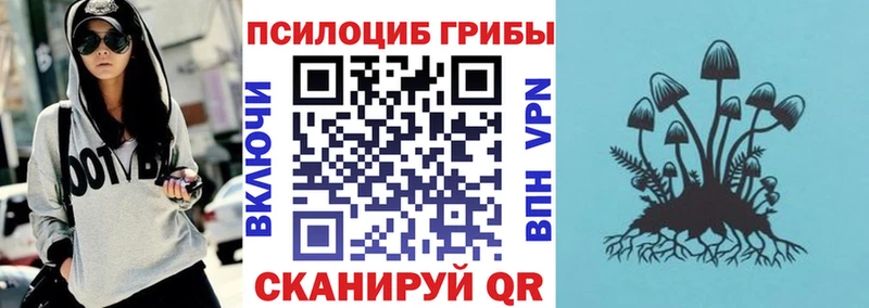где найти наркотики  Новоузенск  Псилоцибиновые грибы прущие грибы 